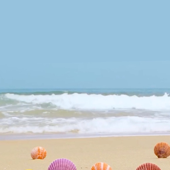 Meet your Posher, Kristine - Picture 1 of 1